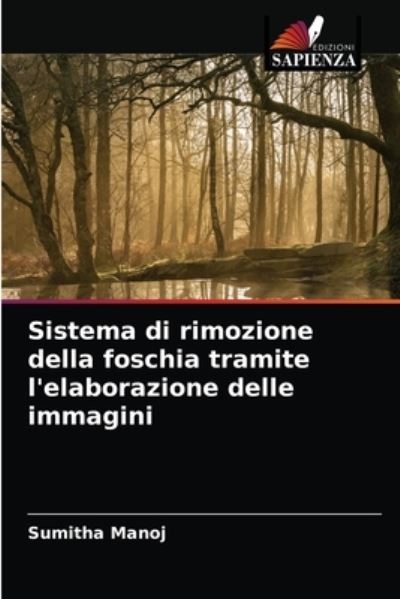 Cover for Sumitha Manoj · Sistema di rimozione della foschia tramite l'elaborazione delle immagini (Paperback Book) (2021)