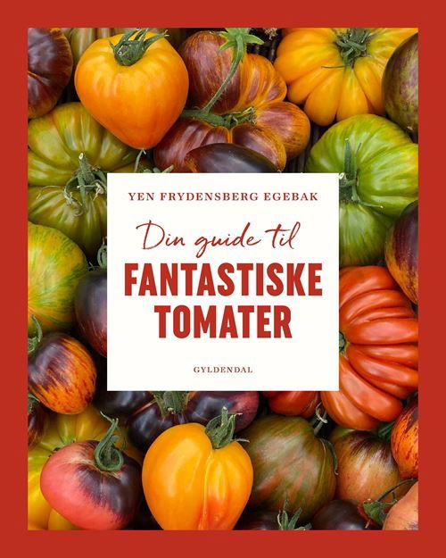 Cover for Yen Frydensberg Egebak · Din guide til fantastiske tomater (Indbundet Bog) [1. udgave] (2025)