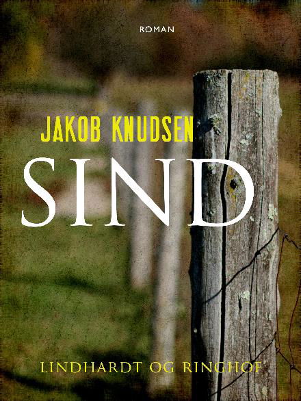 Cover for Jakob Knudsen · Sind (Taschenbuch) [2. Ausgabe] (2017)