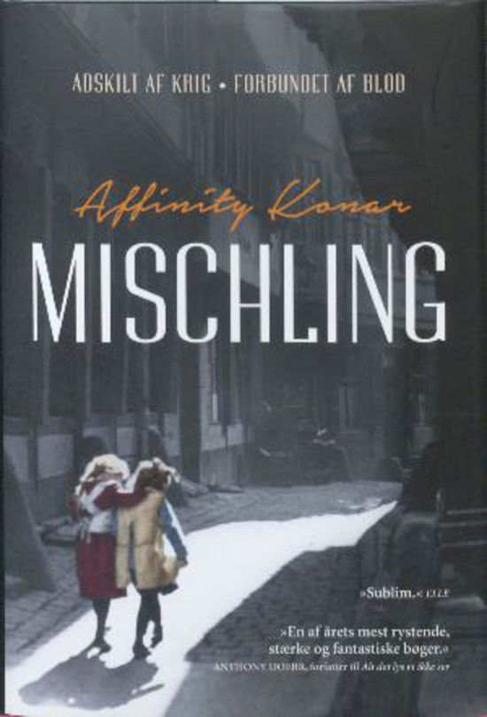 Cover for Affinity Konar · Mischling (Audiobook (MP3)) (2017)