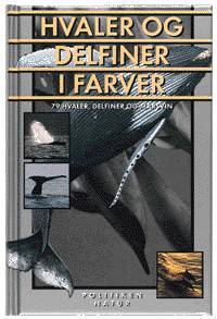 Cover for Mark Carwardine · Hvaler og delfiner i farver (Bound Book) [1st edition] (1997)