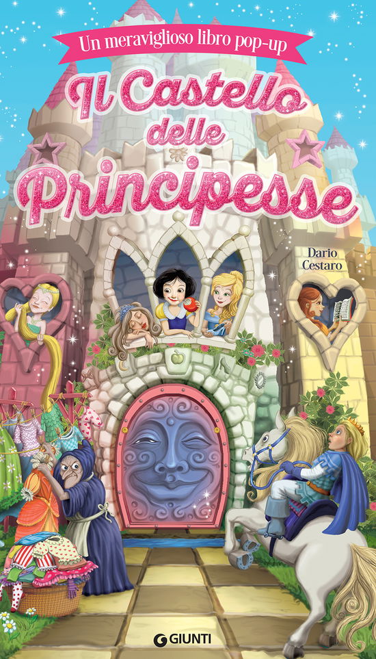 Cover for Dario Cestaro · Il Castello Delle Principesse (Book)