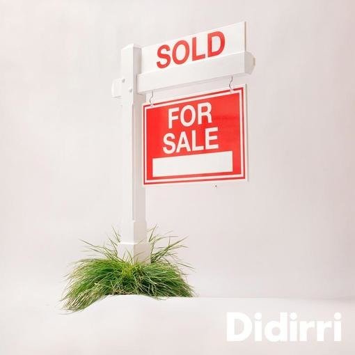 Cover for Didirri · Sold for Sale (CD) (2020)