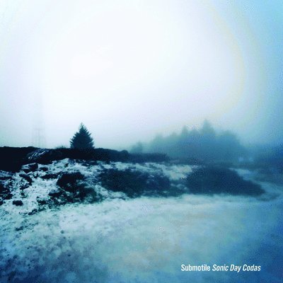 Cover for Submotile · Sonic Day Codas (LP) (2023)