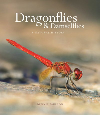 Cover for Dennis Paulson · Dragonflies and Damselflies: A Natural History (Hardcover Book) (2019)