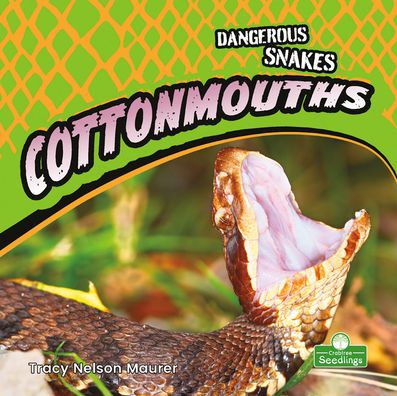 Cover for Tracy Nelson Maurer · Cottonmouths (Hardcover Book) (2021)