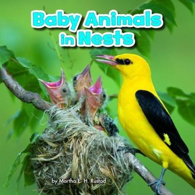 Baby Animals in Nests - Baby Animals and Their Homes - Martha E. H. Rustad - Books - Capstone Global Library Ltd - 9781474733366 - February 8, 2018