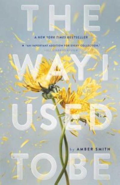 Cover for Amber Smith · The Way I Used to Be - The Way I Used to Be (Paperback Bog) (2017)