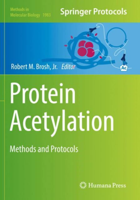 Cover for Protein Acetylation: Methods and Protocols - Methods in Molecular Biology (Paperback Book) [2019 edition] (2020)