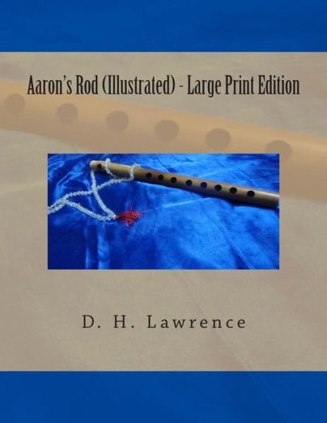 Cover for D H Lawrence · Aaron's Rod (Illustrated) (Pocketbok) (2014)