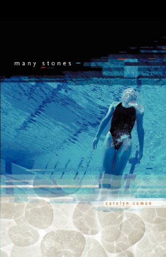 Cover for Carolyn Coman · Many Stones (Paperback Book) (2012)