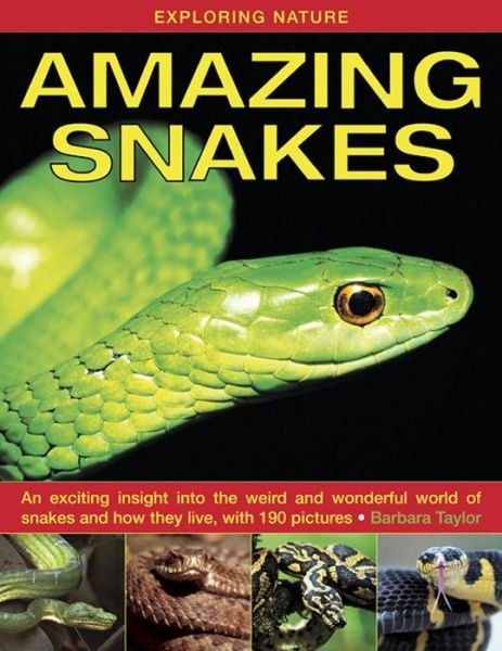 Exploring Nature: Amazing Snakes: an Exciting Insight into the Weird and Wonderful World of Snakes and How They Live, with 190 Pictures - Barbara Taylor - Bøger - Anness Publishing - 9781843227366 - 15. juli 2013