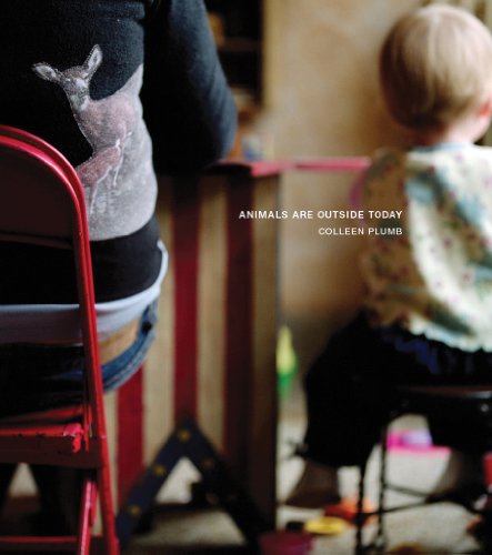 Cover for Lisa Hostetler · Colleen Plumb: Animals Are Outside Today (Hardcover Book) (2011)