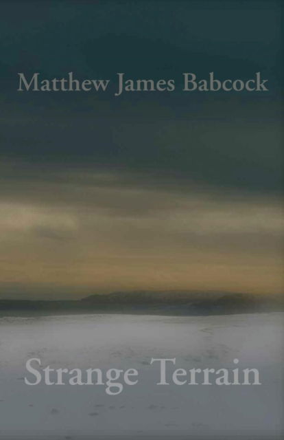 Cover for Matthew James Babcock · Strange Terrain (Paperback Book) (2016)