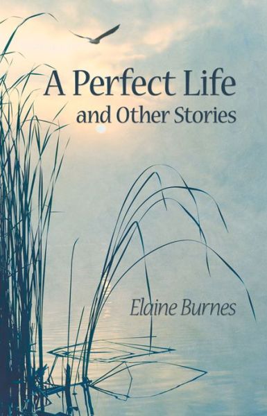 Cover for Elaine Burnes · A Perfect Life and Other Stories (Paperback Book) (2016)