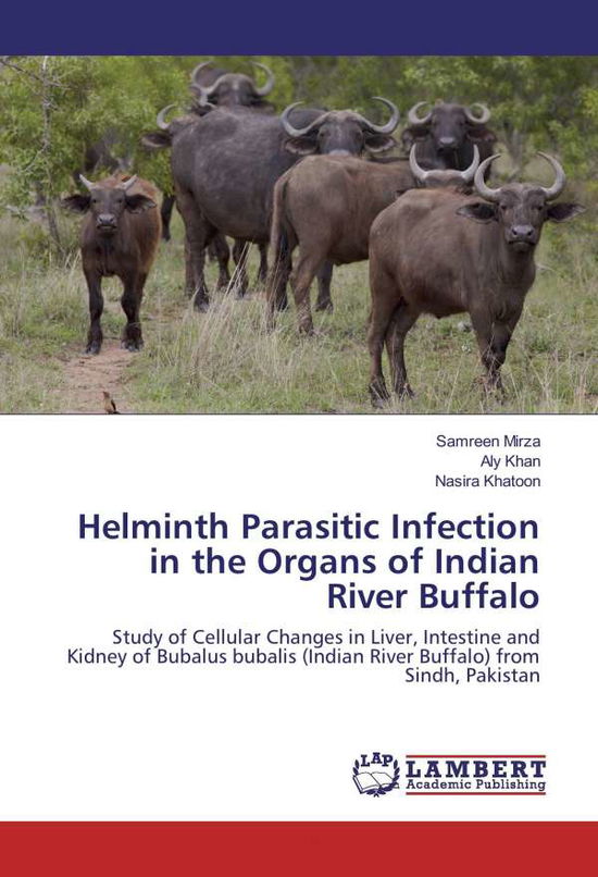 Cover for Mirza · Helminth Parasitic Infection in t (Book)