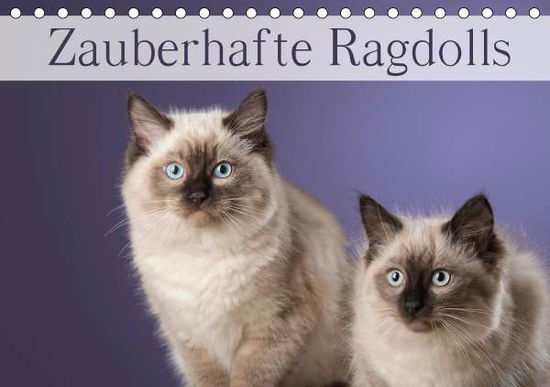 Cover for Noack · Zauberhafte Ragdolls / Geburtstag (Book)