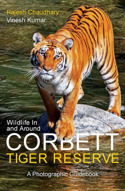 Cover for Rajesh Chaudhary · Wildlife In and Around Corbett Tiger Reserve: A Photographic Guidebook (Paperback Book) (2023)