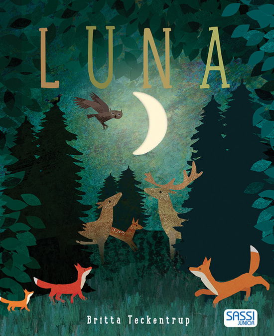 Cover for Britta Teckentrup · Luna. Ediz. A Colori (Book)
