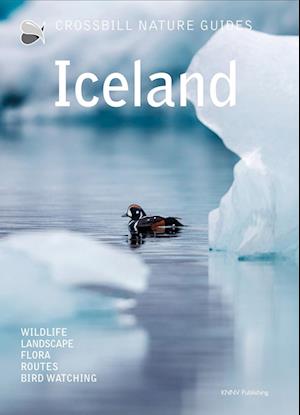 Cover for Dirk Hilbers · Iceland - Crossbill Guides (Taschenbuch) (2025)