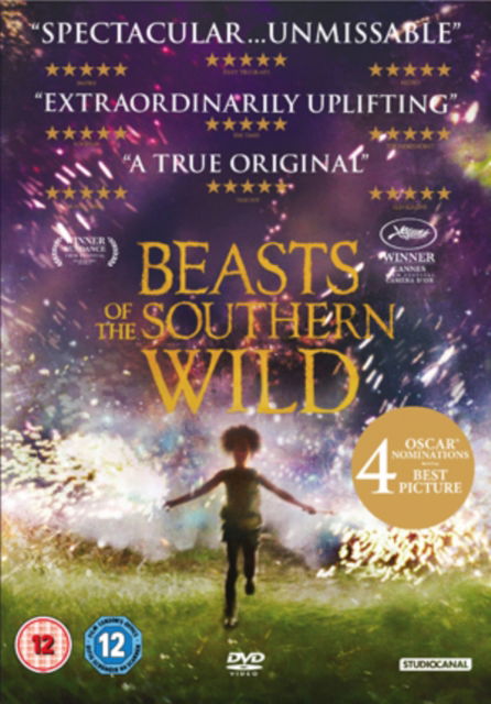 Beasts Of The Southern Wild - Beasts of the Southern Wild - Film - Studio Canal (Optimum) - 5055201826367 - 19. november 2013