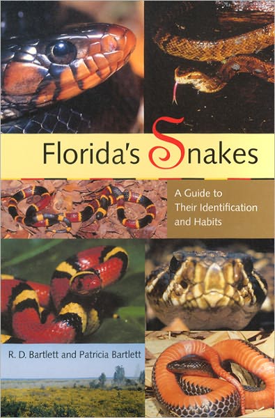 Florida's Snakes: A Guide to Their Identification and Habits - R. D. Bartlett - Books - University Press of Florida - 9780813026367 - December 16, 2003