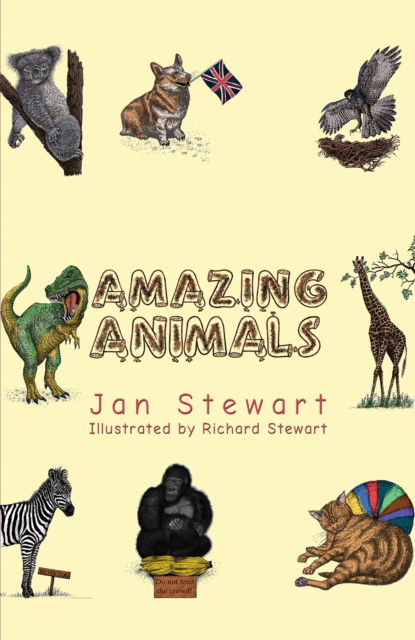 Cover for Jan Stewart · Amazing Animals (Paperback Book) (2024)