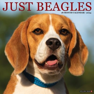 Willow Creek Press · Just Beagles 2024 12 X 12 Wall Calendar (Kalender) (2023)