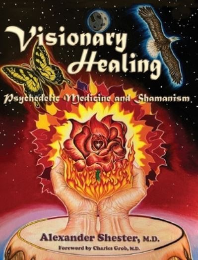 Cover for Alexander Shester · Visionary Healing (Book) (2023)