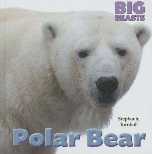 Polar Bear (Big Beasts) - Stephanie Turnbull - Bøker - Smart Apple Media - 9781599208367 - 2013