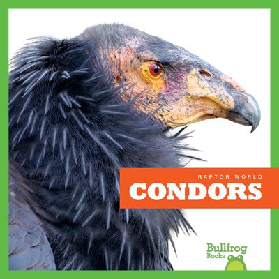 Cover for Jenna Lee Gleisner · Condors (Hardcover Book) (2019)