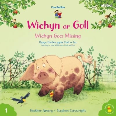 Cover for Heather Amery · Cyfres Cae Berllan: Wichyn ar Goll / Wichyn Goes Missing (Pocketbok) [Bilingual edition] (2022)