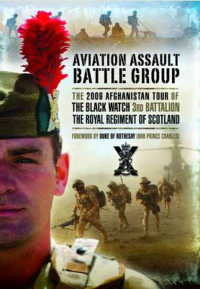 Cover for Henry Wilson · Aviation Assault Battlegroup (Hardcover Book) (2012)