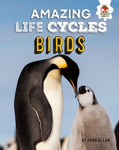 Cover for John Allan · Birds - Amazing Life Cycles (Hardcover Book) (2019)
