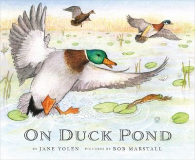 Cover for Jane Yolen · On Duck Pond (On Bird Hill and Beyond) (Bok) (2019)