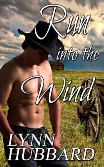 Cover for Lynn Hubbard · Run Into the Wind (Pocketbok) (2017)