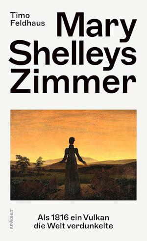 Cover for Timo Feldhaus · Mary Shelleys Zimmer (Hardcover Book) (2022)