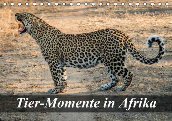 Cover for Janssen · Tier-Momente in Afrika (Tischka (Book)