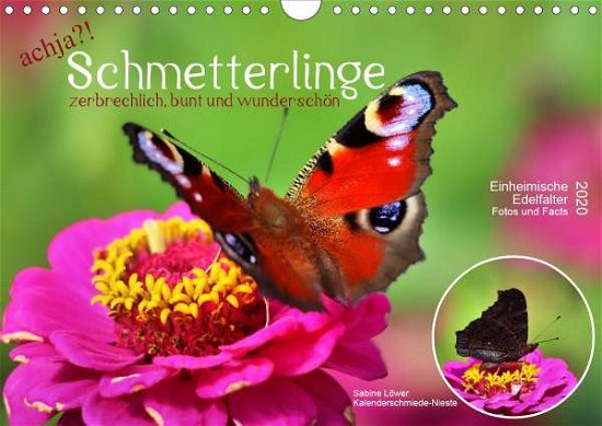 Cover for Löwer · Achja?! Schmetterlinge, Zerbrechl (Bog)