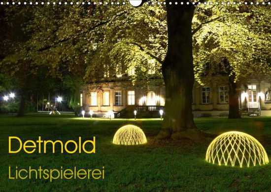 Cover for Witzel · Detmold Lichtspielerei (Wandkale (Book)