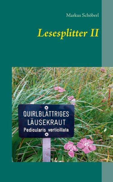 Cover for Schöberl · Lesesplitter II (Book)