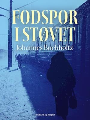 Cover for Johannes Buchholtz · Fodspor i støvet (Heftet bok) [1. utgave] (2021)
