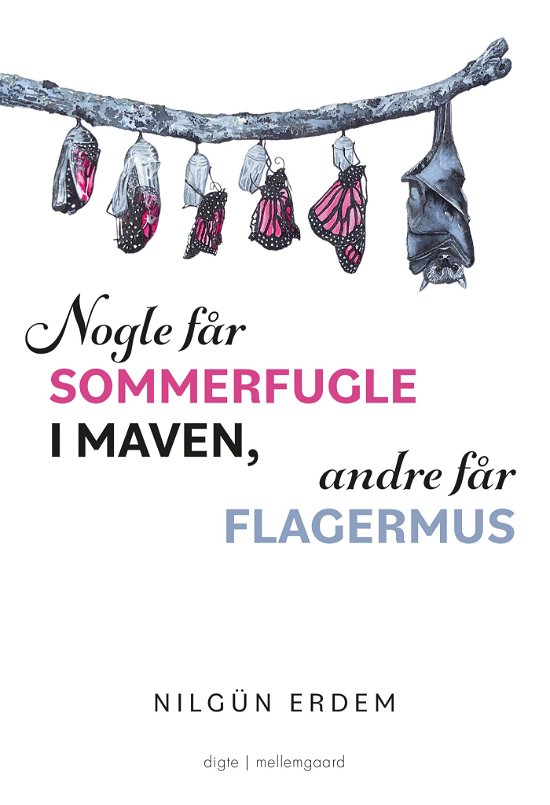 Nogle får sommerfugle i maven, andre får flagermus - Nilgün Erdem - Books - Forlaget mellemgaard - 9788775757367 - September 14, 2022