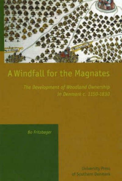 Cover for Bo Fritzbøger · University of Southern Denmark studies in history and social sciences: A Windfall for the Magnates (Inbunden Bok) [1:a utgåva] (2004)