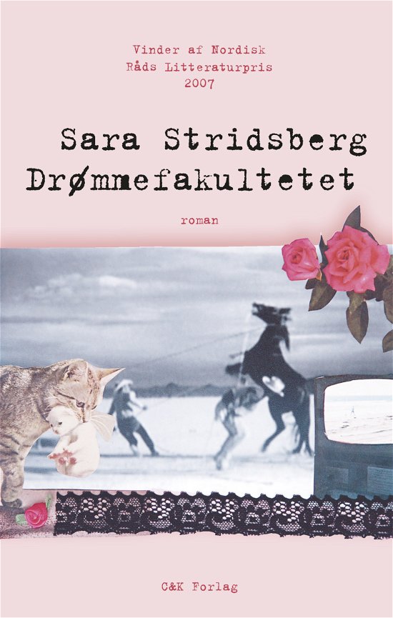 Cover for Sara Stridsberg · Drømmefakultetet (Pocketbok) [2. utgave] (2015)