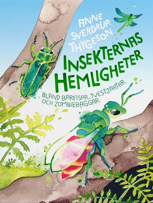 Cover for Sverdrup-Thygeson Anne · Insekternas hemligheter : bland bärfisar, tvestjärtar och zombiebaggar (Bound Book) (2020)