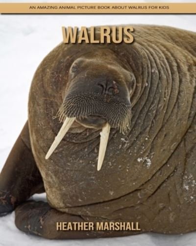 Cover for Heather Marshall · Walrus: An Amazing Animal Picture Book about Walrus for Kids (Paperback Book) (2021)