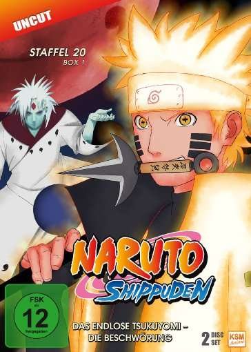 Naruto Shippuden - Staffel 20.1 [2 DVDs] - N/a - Movies - KSM Anime - 4260495764368 - February 22, 2018