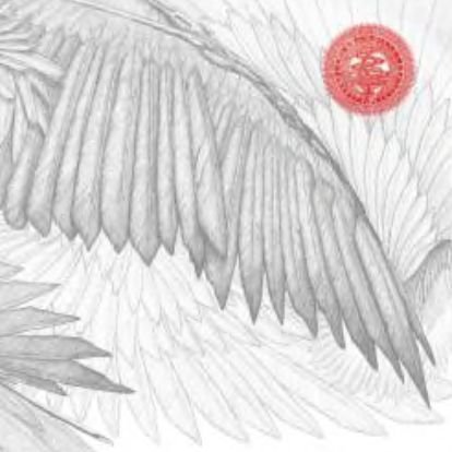 Cover for Bug · Angels &amp; Devils (LP) (2014)