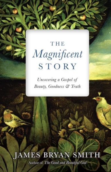 Cover for James Bryan Smith · The Magnificent Story - Uncovering a Gospel of Beauty, Goodness, and Truth (Gebundenes Buch) (2017)